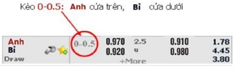 Ví dụ về kèo 0-0.5