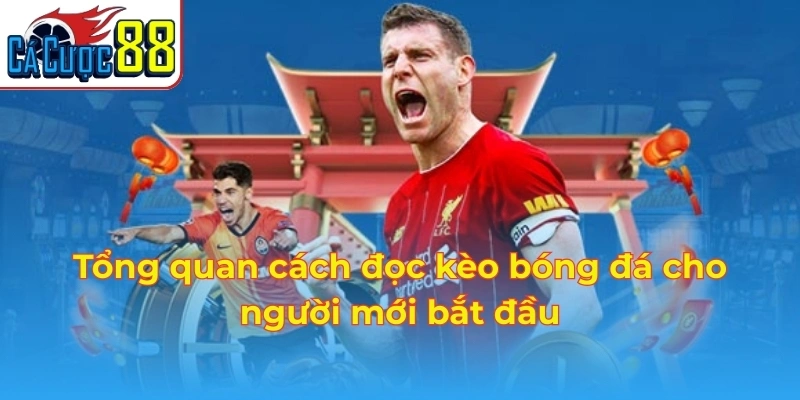 Tổng quan cách đọc kèo bóng đá cho người mới bắt đầu