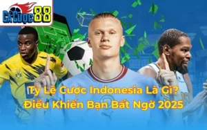 tỷ lệ cược indonesia là gì